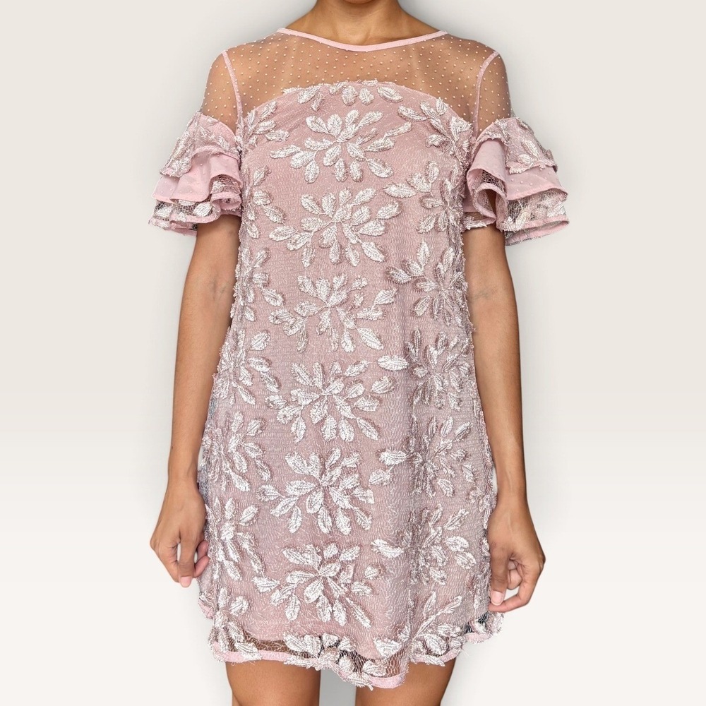 Dolly & Delicious Pink Floral Embroidery Mesh Mini Dress US 6 Coquette NWT